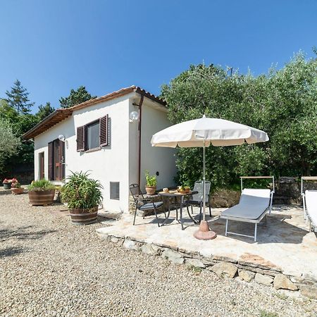 Holiday Home Olivo By Interhome Castellina in Chianti Dış mekan fotoğraf